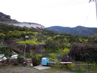 DSCN0049