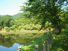 IMGP3875