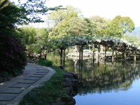 RIMG0778