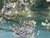 DSCF1250