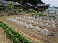 DSCN8779
