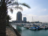 RIMG0966