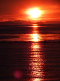 DSCF2528