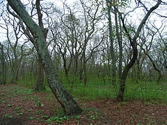 RIMG0156
