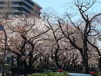 20150325_123847