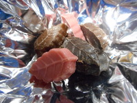 DSCN0595