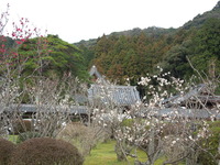 DSCN5884