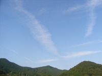 RIMG0874