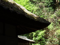 DSCF7091