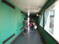 DSCN6554