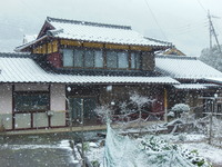 DSCN2134