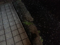 20160328_213420