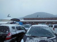 DSCN2124