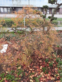 20161130_144943