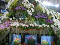 RIMG0970