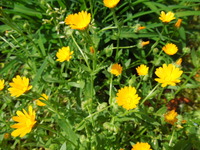 DSCN8764
