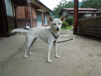 DSCN0119