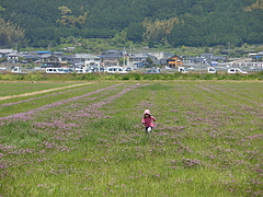 IMGP2424