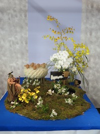 IMG_1881