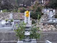 BlogPaint