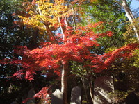 DSCN0587