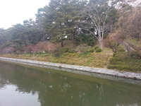 20150216_115411