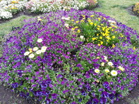 20160517_164522