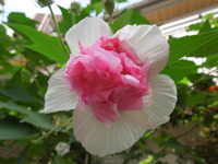 DSCN0102