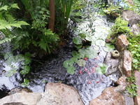 20170719_153337