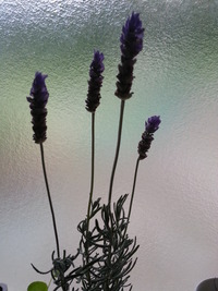 20170719_071746