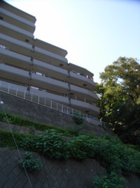 RIMG1054