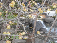 DSCN0516