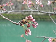RIMG0328