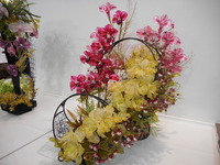 DSCN0446