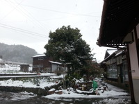 20170211_122050