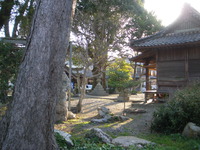 IMGP2238