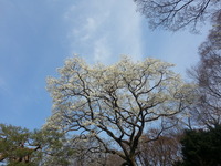 20160329_140938