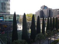 DSCN8173