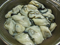 DSCN2103