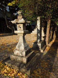 DSCN1223