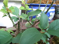 RIMG0253