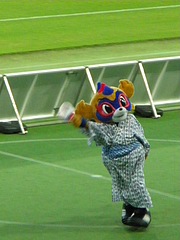 IMGP3347