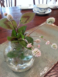 20150519_163035