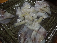 DSCN9983