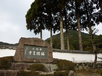 DSCN5877