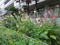 DSCN9279