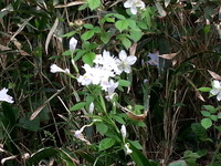 20150416_142130