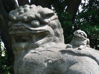 RIMG0266