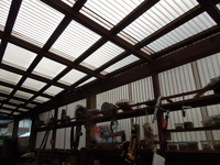 DSCN9555