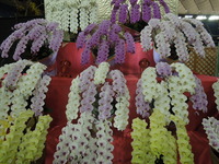 DSCN0016